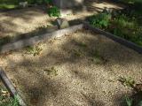 image of grave number 600825